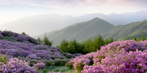 지리산 국립공원